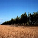 Малов Александр. Село Уржумское